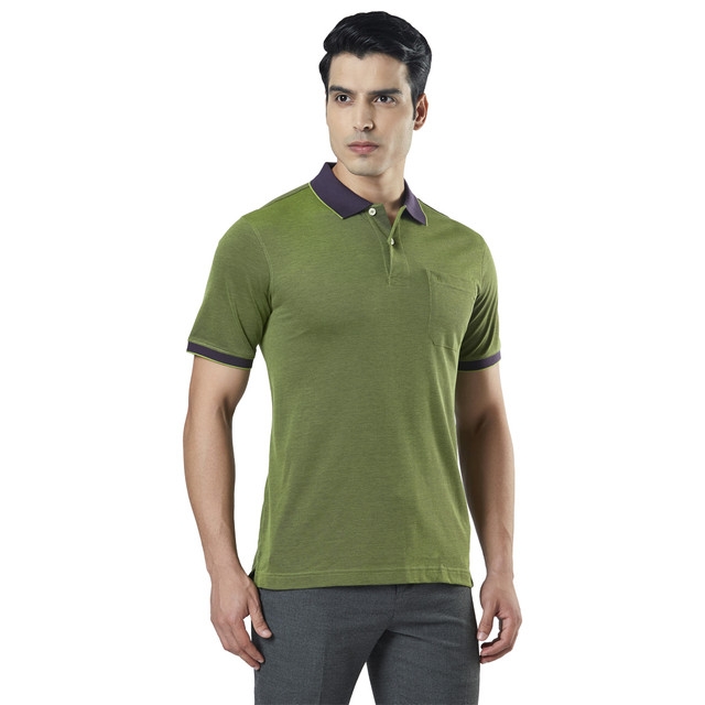 Raymond | Green Solid Polo T-Shirt 1