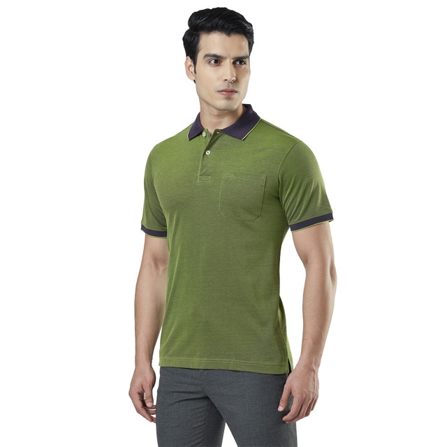 Raymond | Green Solid Polo T-Shirt 2