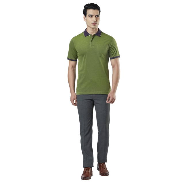 Raymond | Green Solid Polo T-Shirt 4