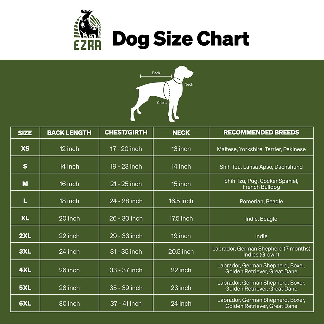 EZRA Puffer Dog Jacket – Olive Green | Warm, Water-Resistant Winter Coat for Dogs