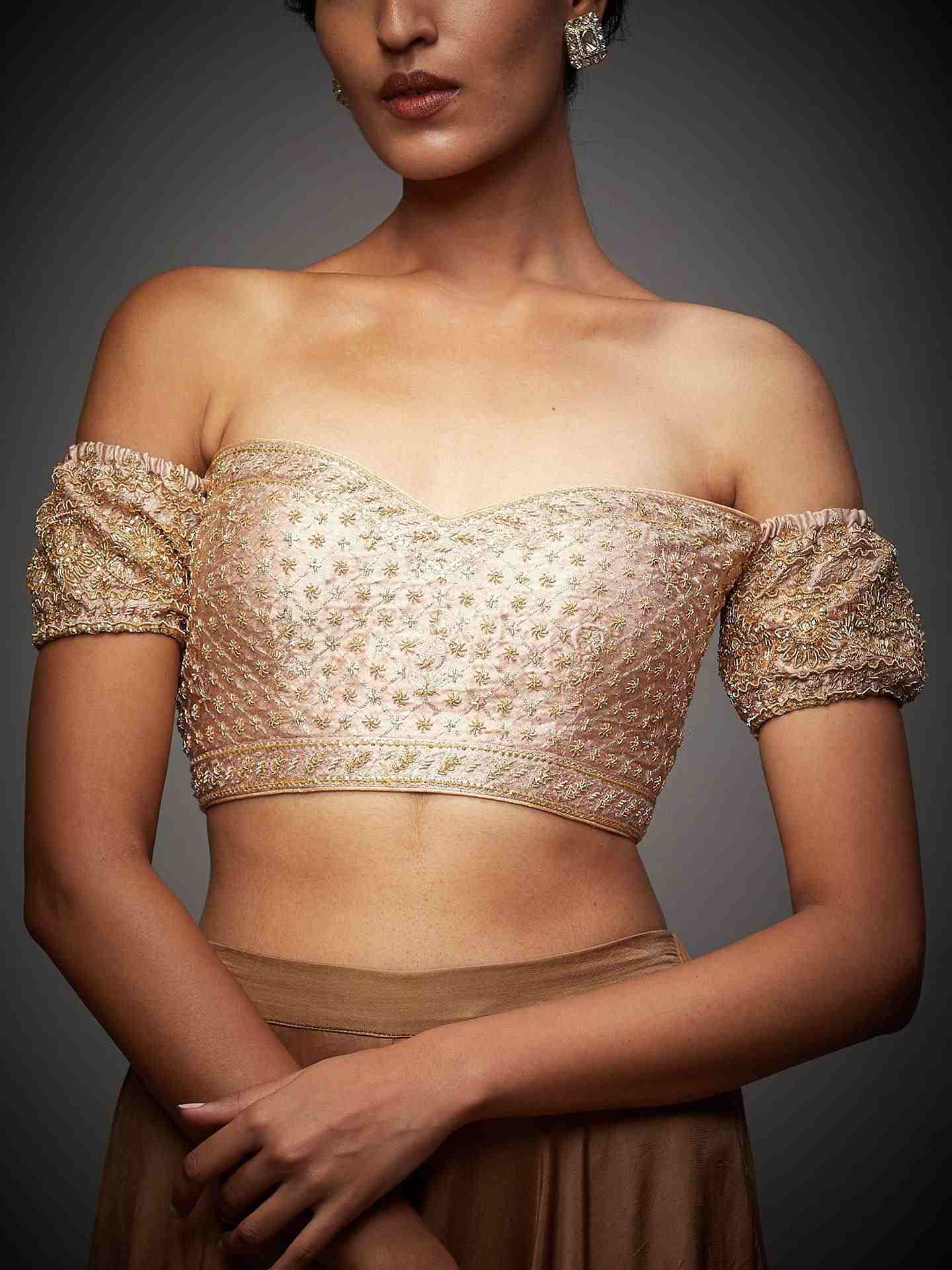 Beige Tania Zardozi Blouse