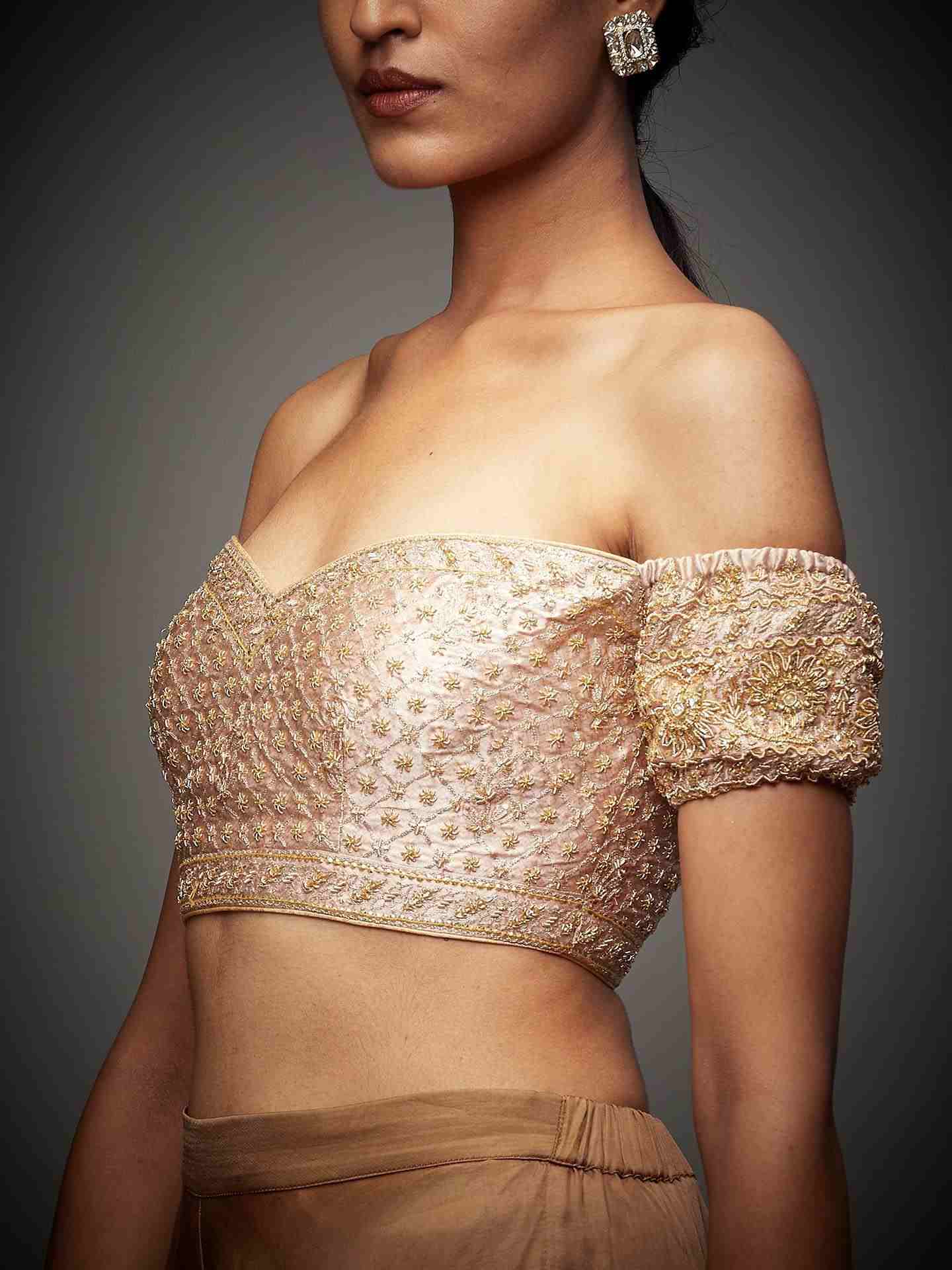 Beige Tania Zardozi Blouse