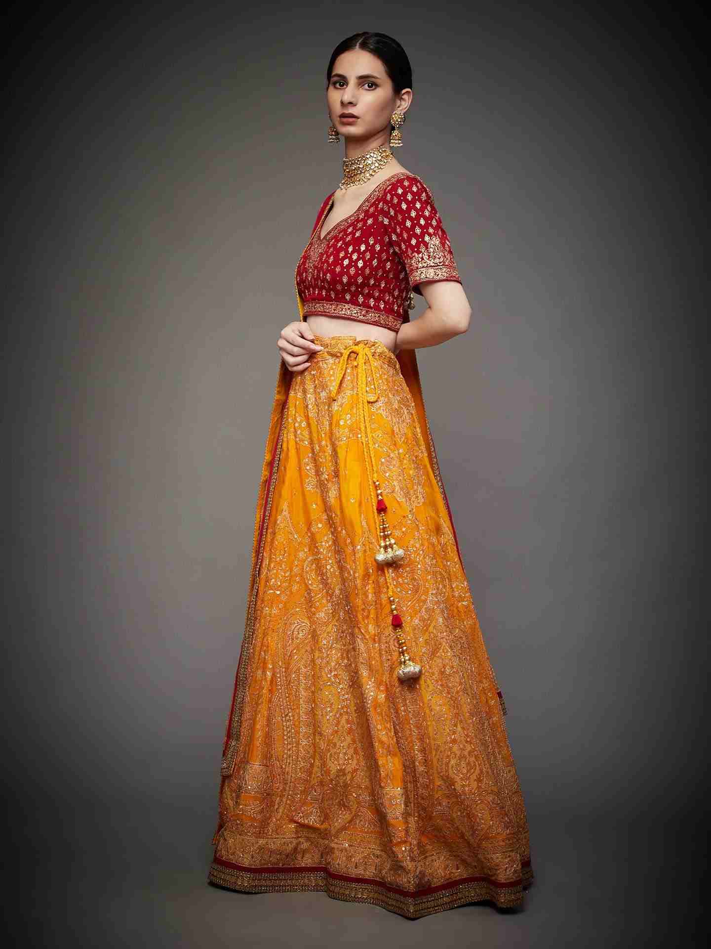 Yellow & Red Amira Aari Lehenga Set