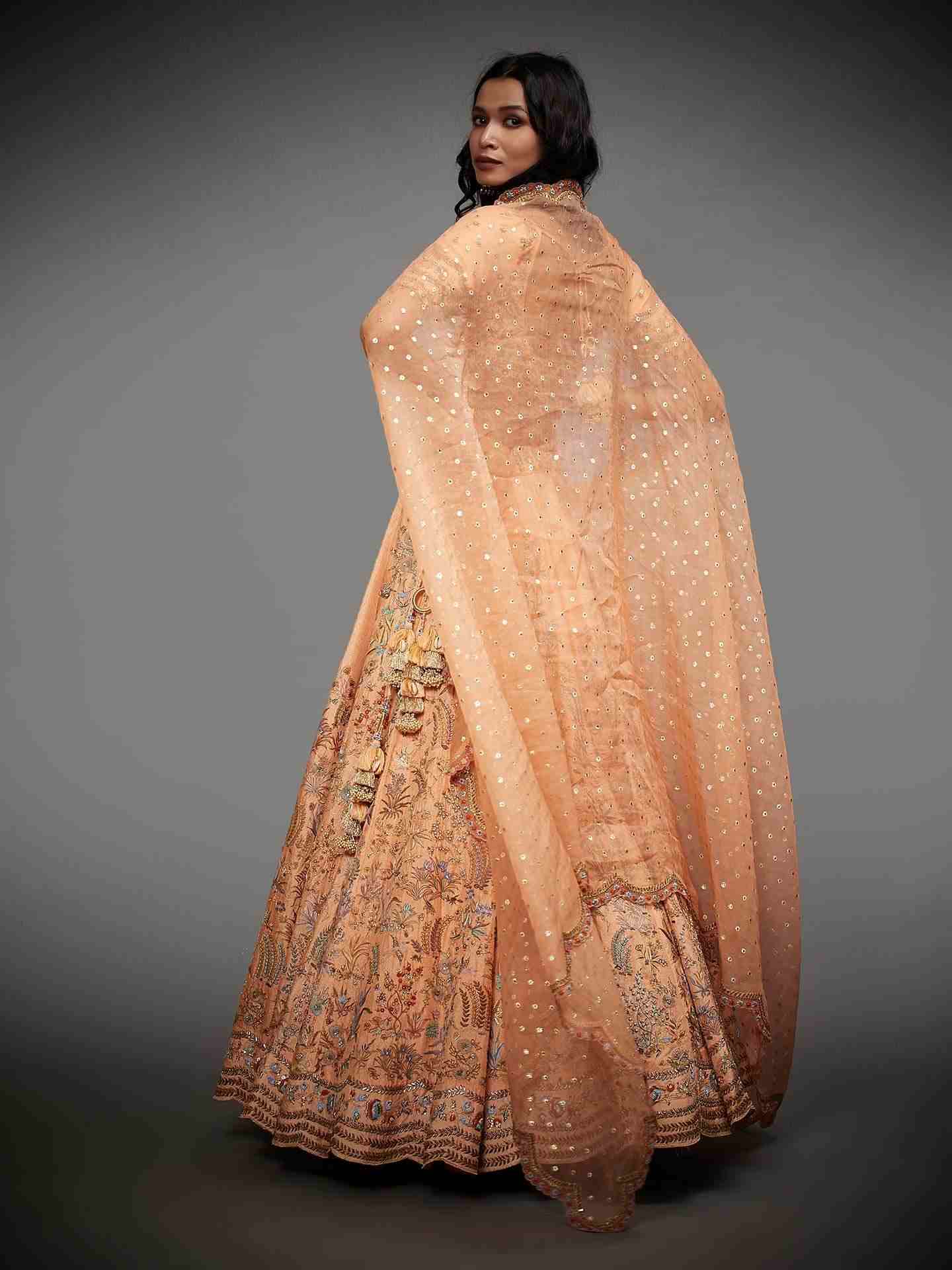 Peach & Multi Nazli Lehenga Set