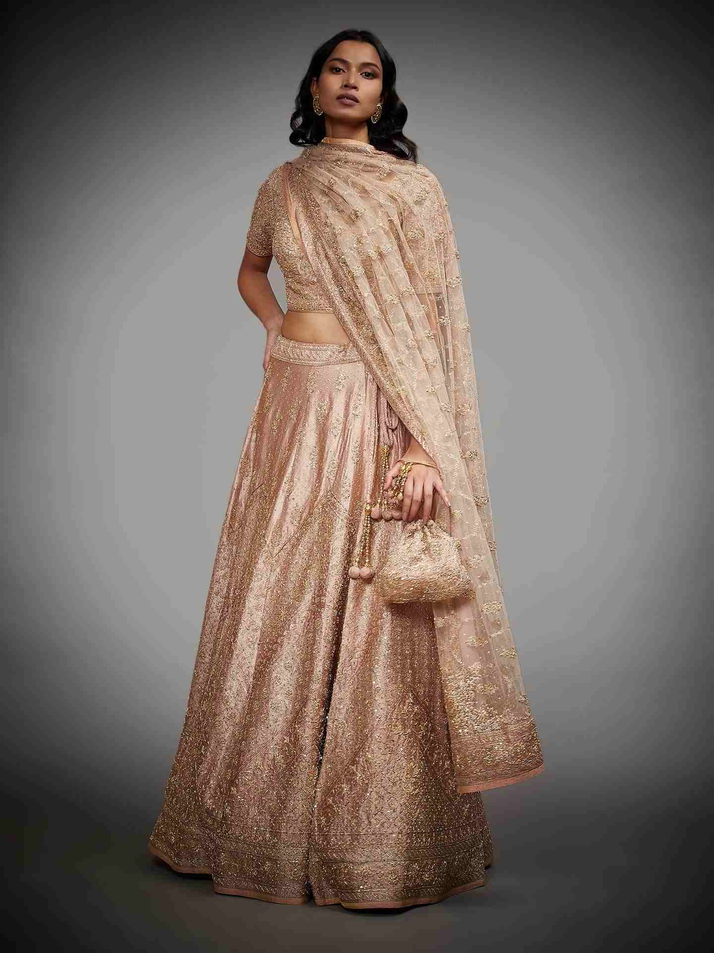 Beige Tania Zardozi Lehenga Set