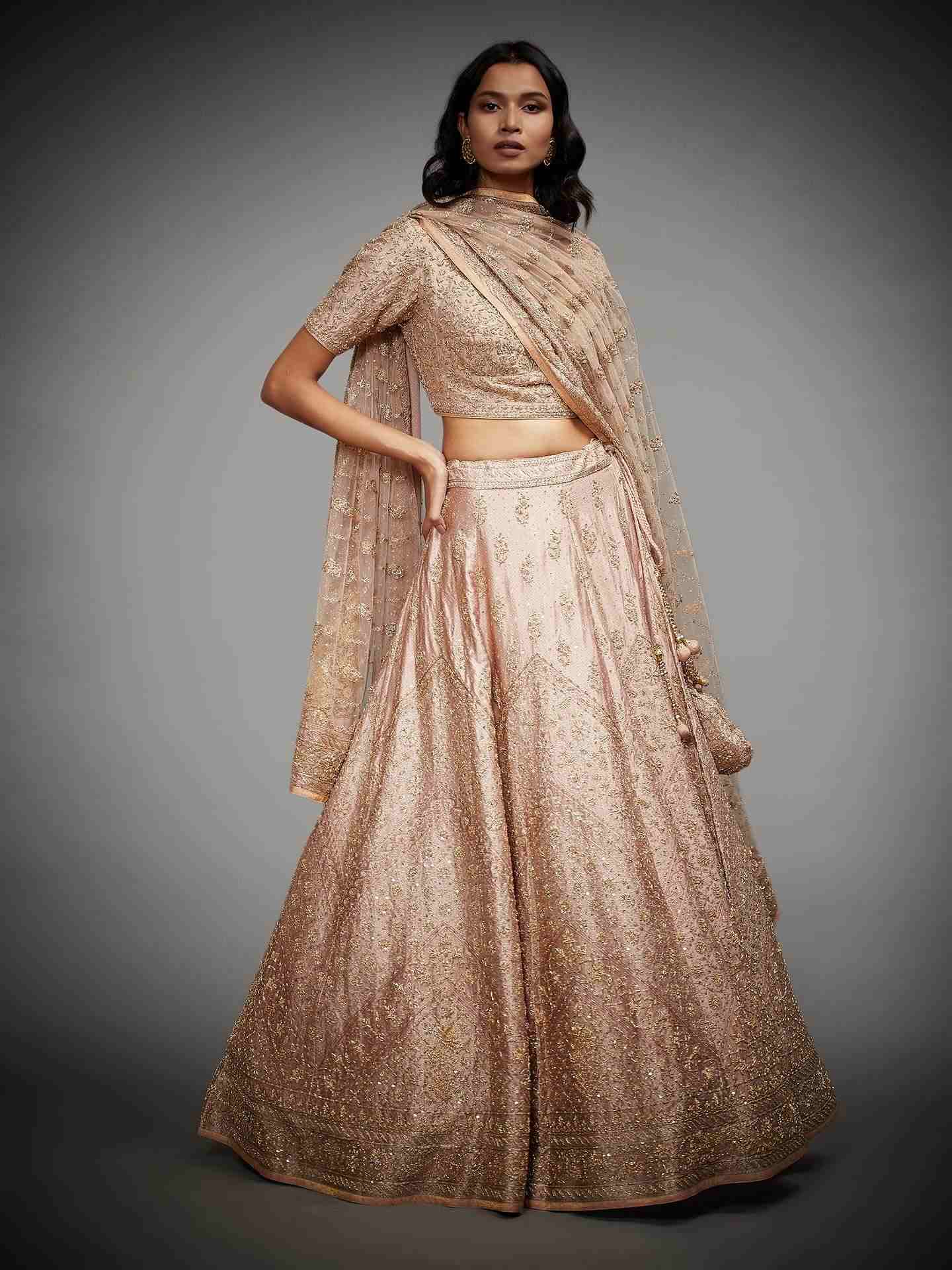 Beige Tania Zardozi Lehenga Set