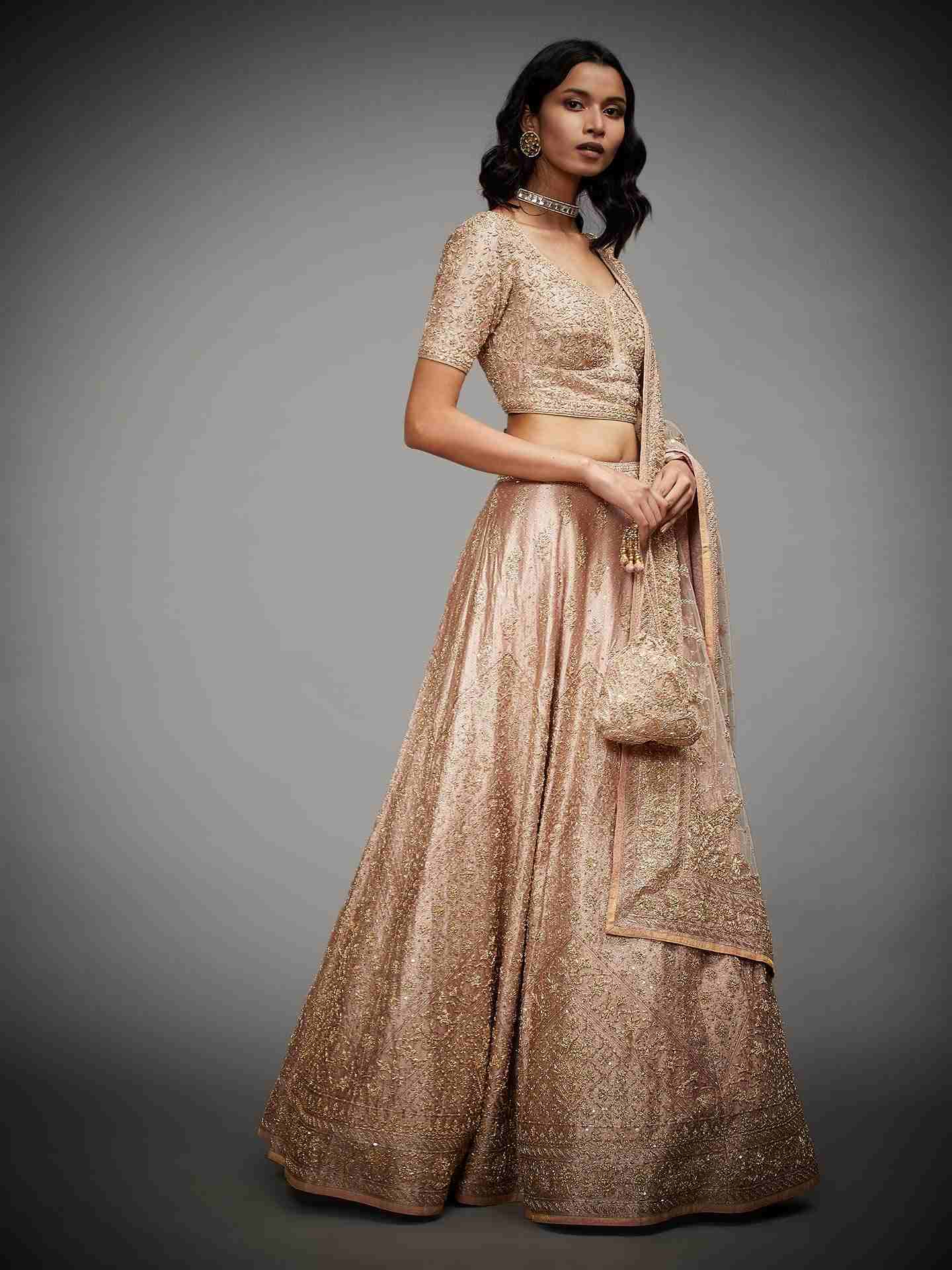 Beige Tania Zardozi Lehenga Set