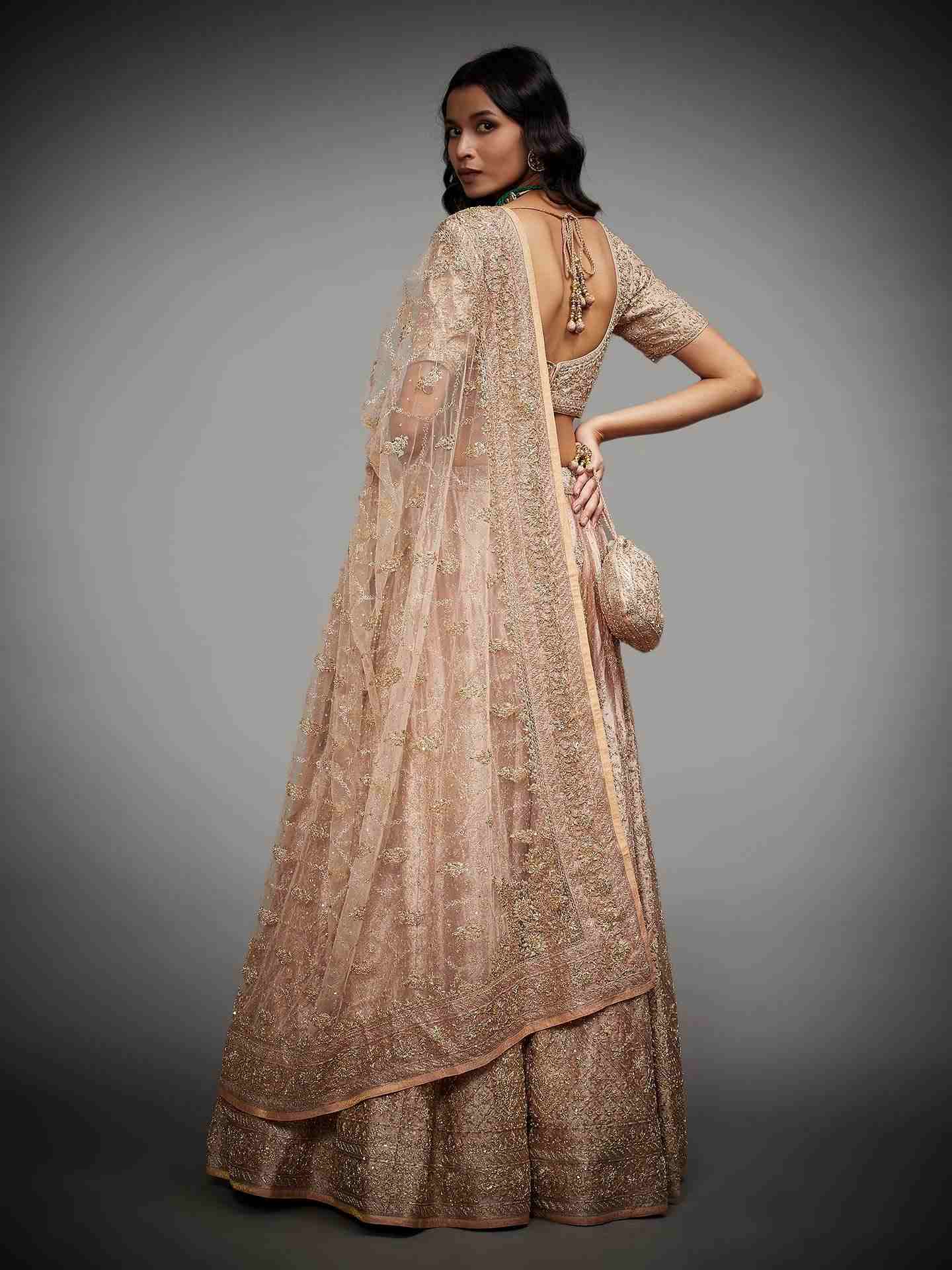Beige Tania Zardozi Lehenga Set