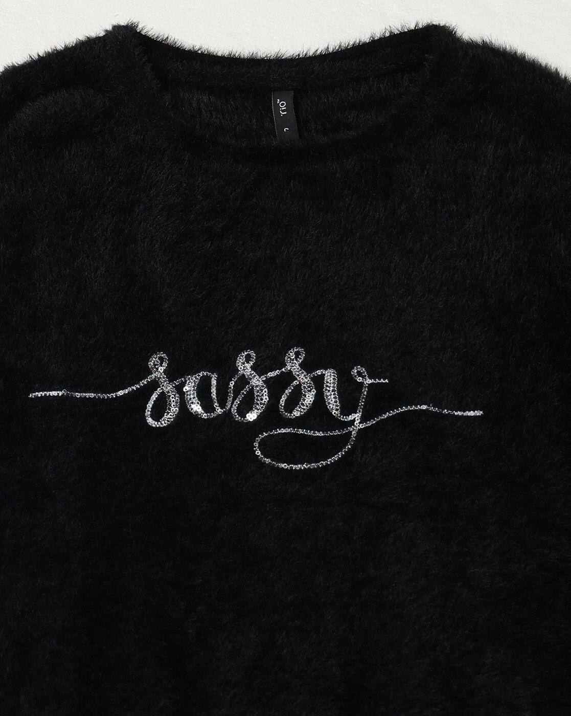 RIO | Women Embroidered Regular Fit Pullover|4