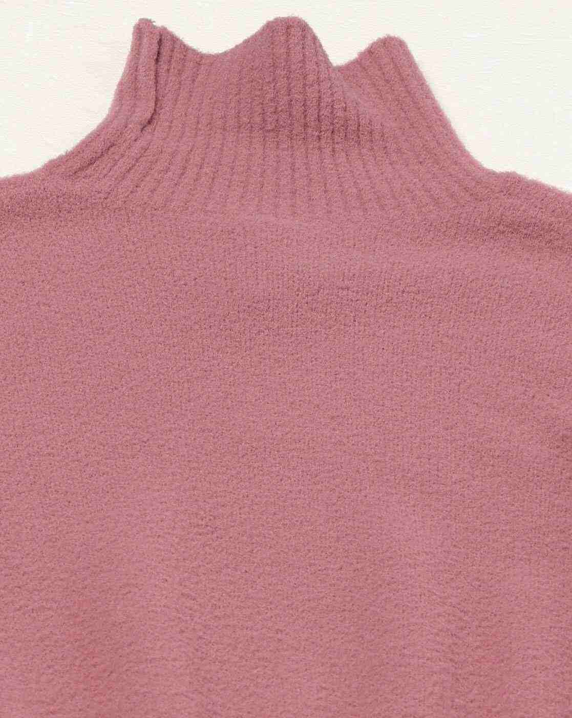 RIO | Women Regular Fit Turtleneck Pullover|4