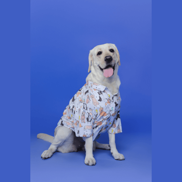 Ezra Polyester Blend Dog Shirt - Party