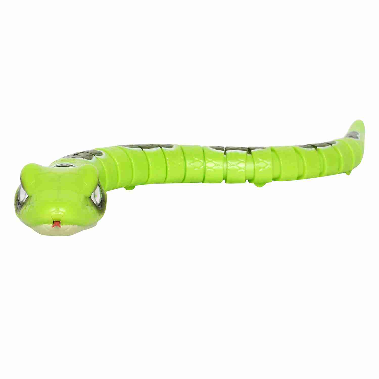 https://cdn.fynd.com/v2/falling-surf-7c8bb8/fyprod/wrkr/products/pictures/item/free/original/robo-alive/25235/4/R3ozj2oLDC-740362_5.jpg
