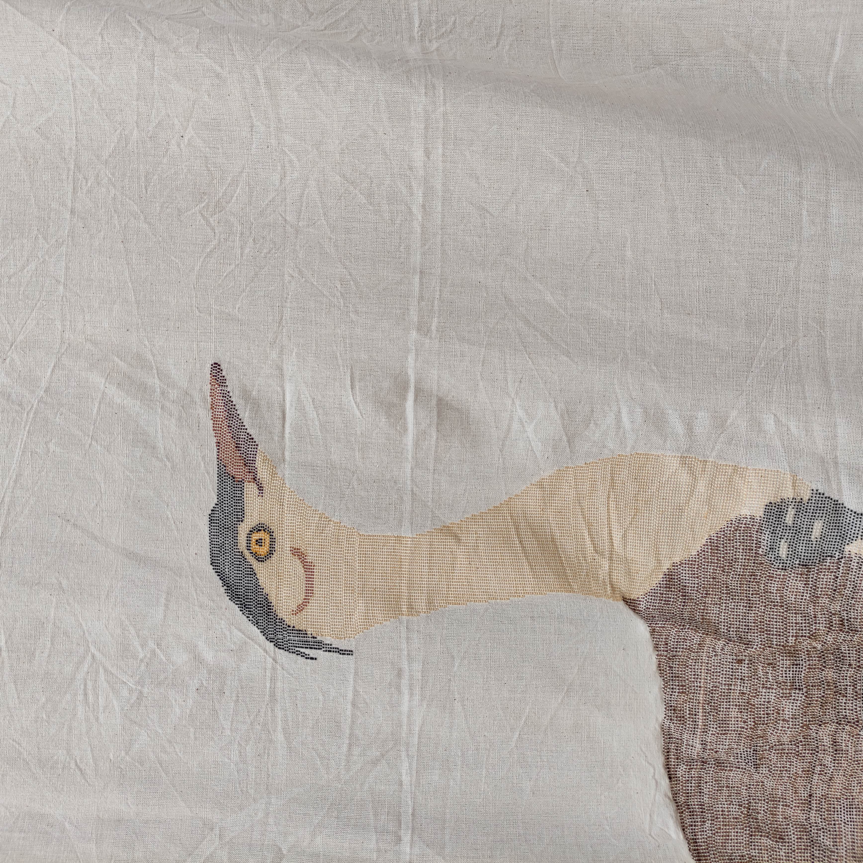 Female Godawan Curtain
