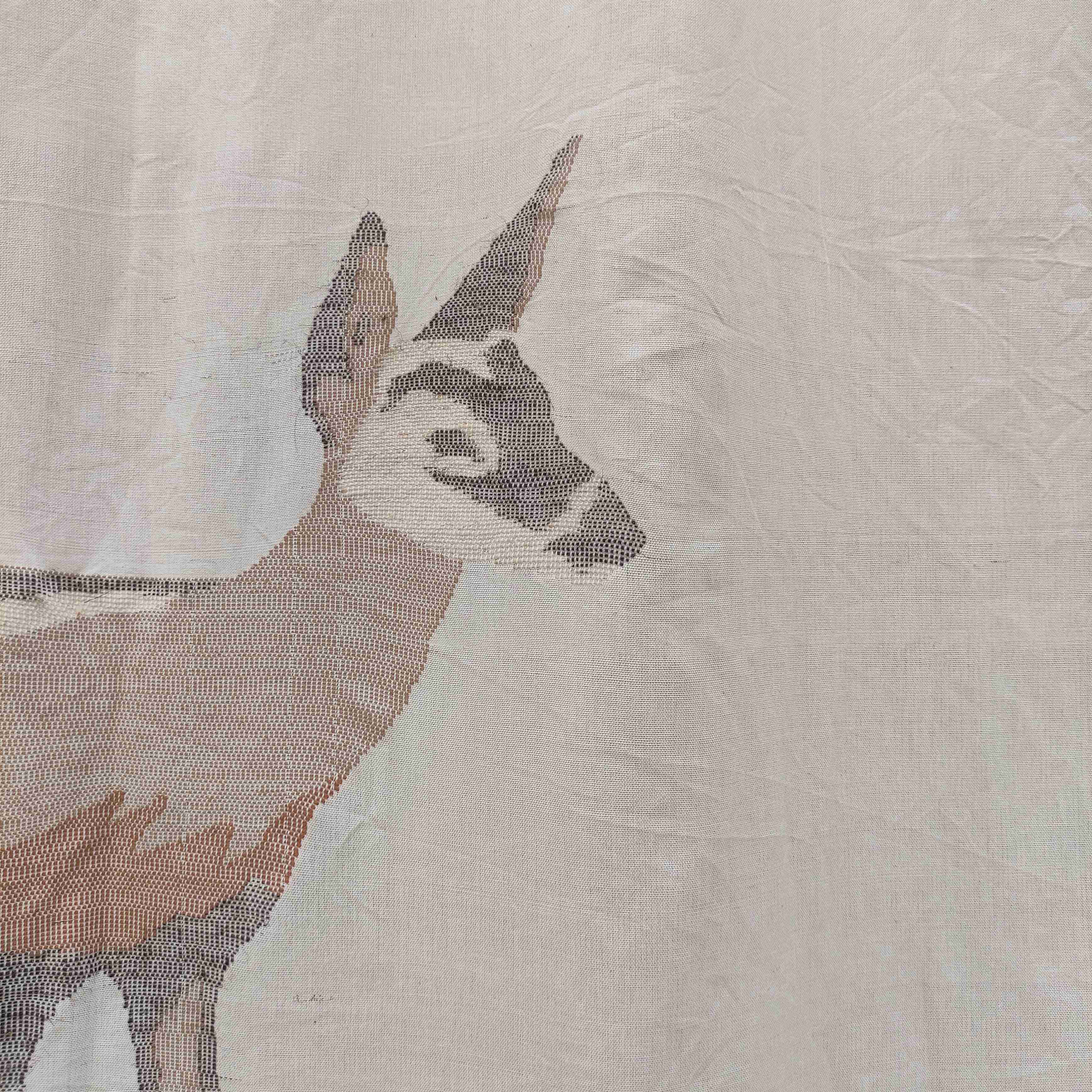 Baby Black Buck Curtain