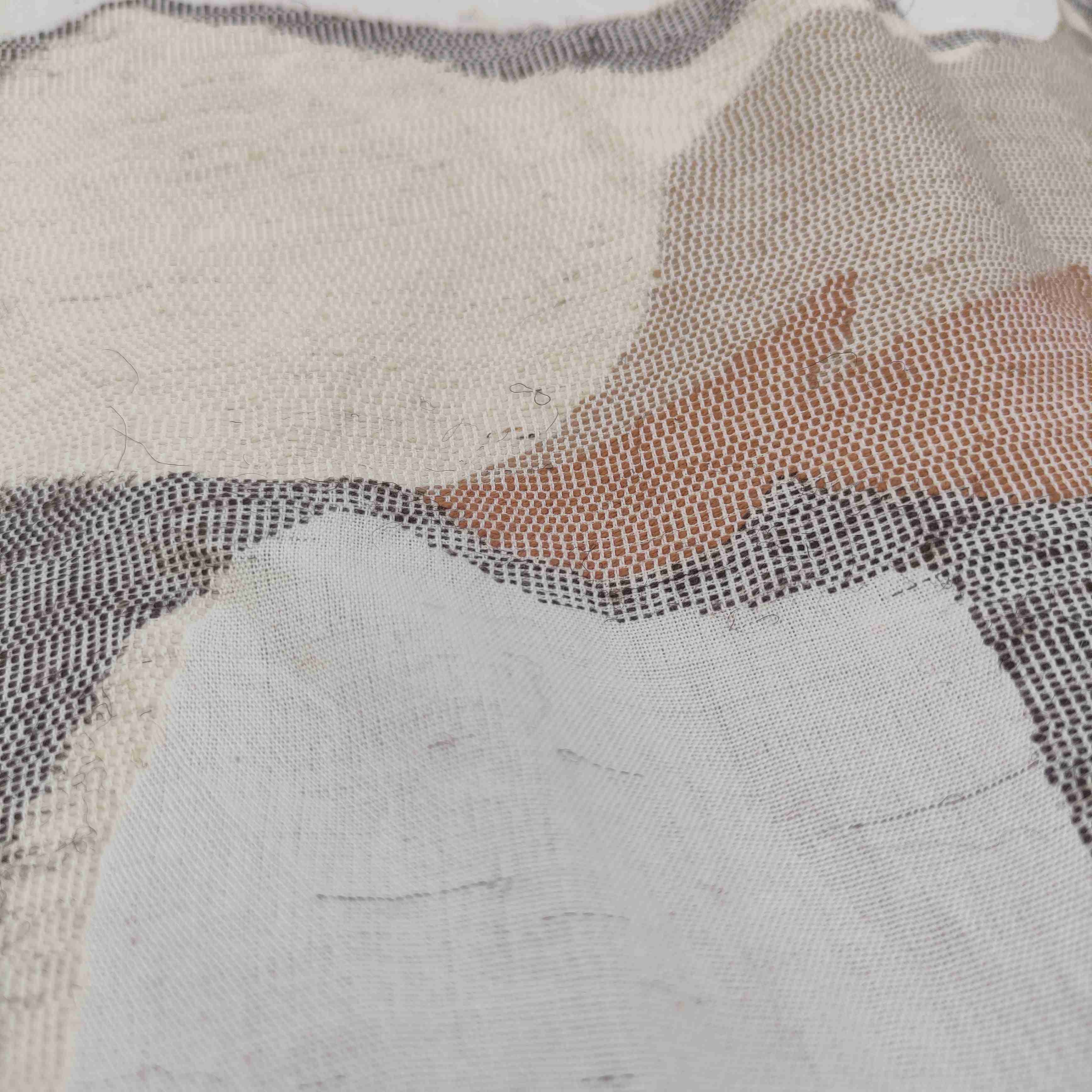 Baby Black Buck Curtain