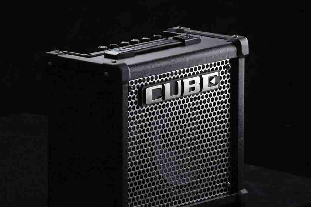 Roland CUBE-10GX 10-Watt Guitar Combo Amp with COSM Modeling and