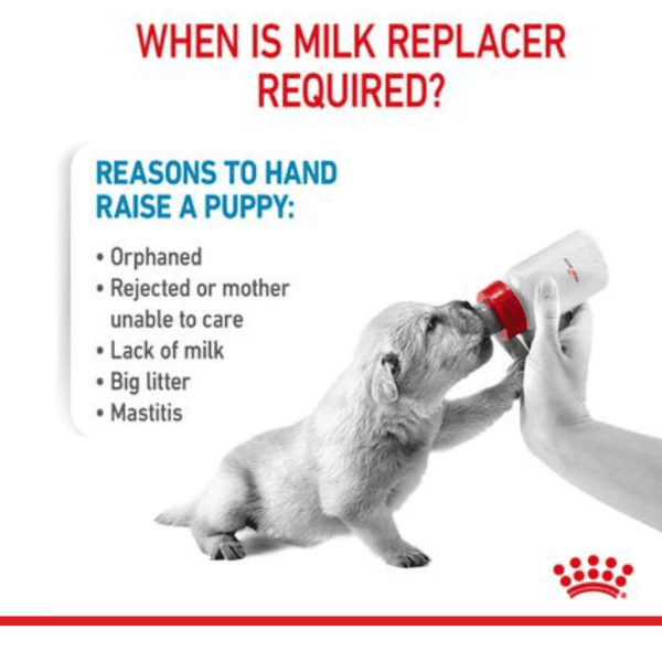 Royal Canin Baby Dog Milk - 400 Gm