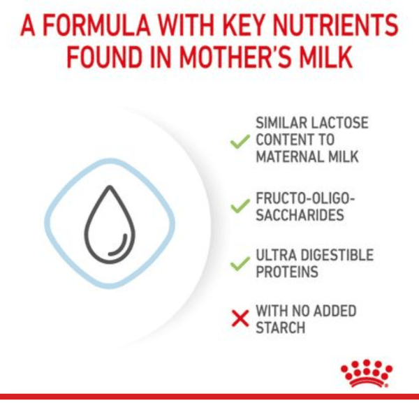 Royal Canin Baby Dog Milk - 400 Gm