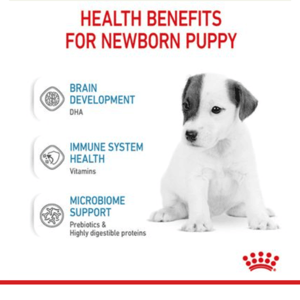 Royal Canin Baby Dog Milk - 400 Gm