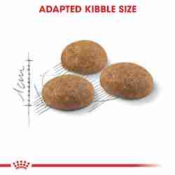 Royal Canin Fhn Outdoor 2 Kg