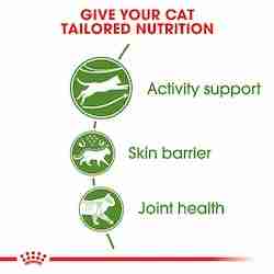 Royal Canin Fhn Outdoor 2 Kg