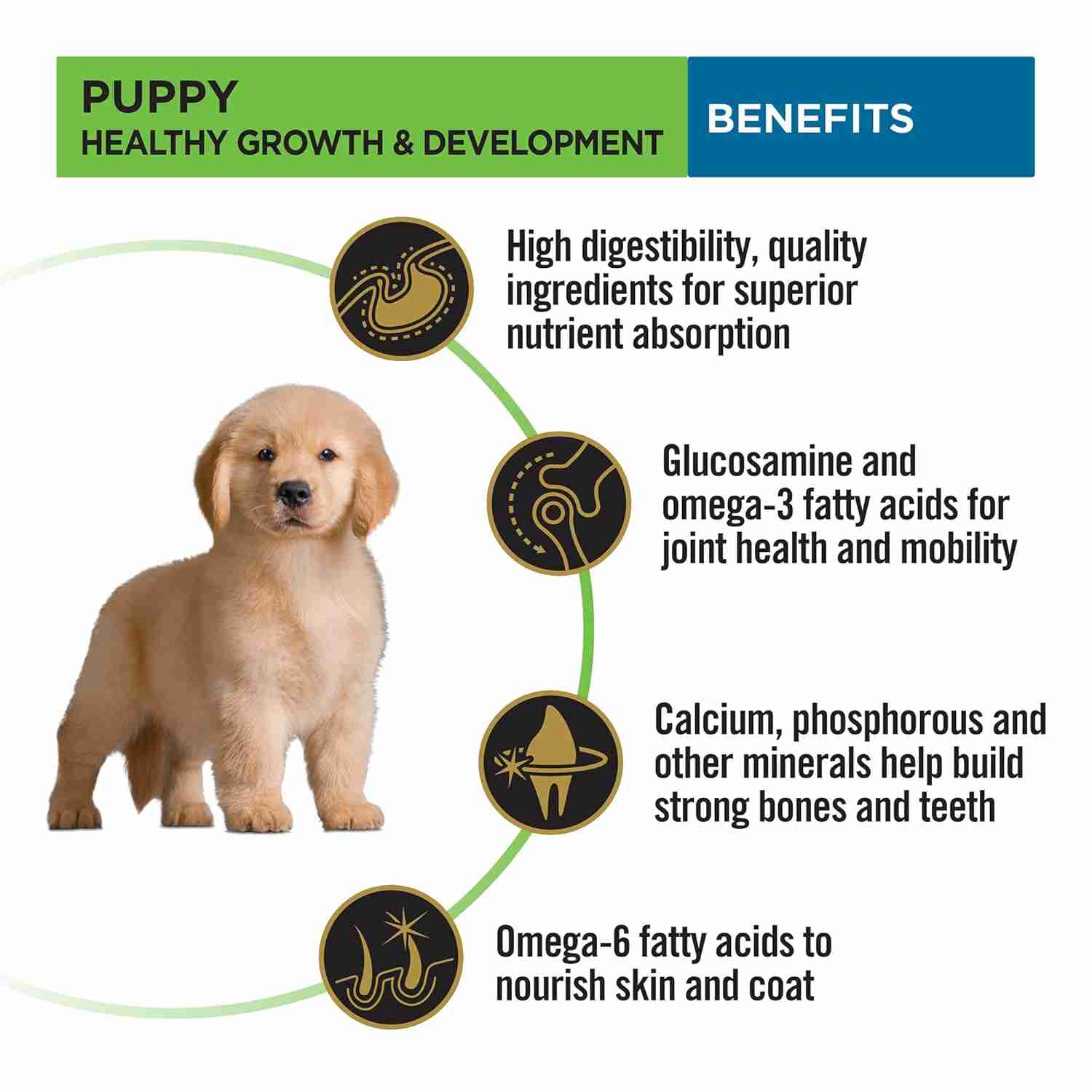 Purina Pro Plan Chicken Large Breed Puppy Dog Dry Food 3kg