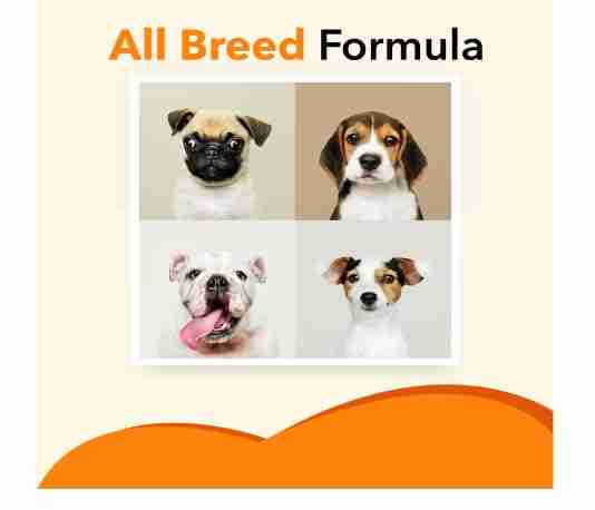 Drools Absolute Salmon Oil Syrup Supplement for Dogs, 150 ml