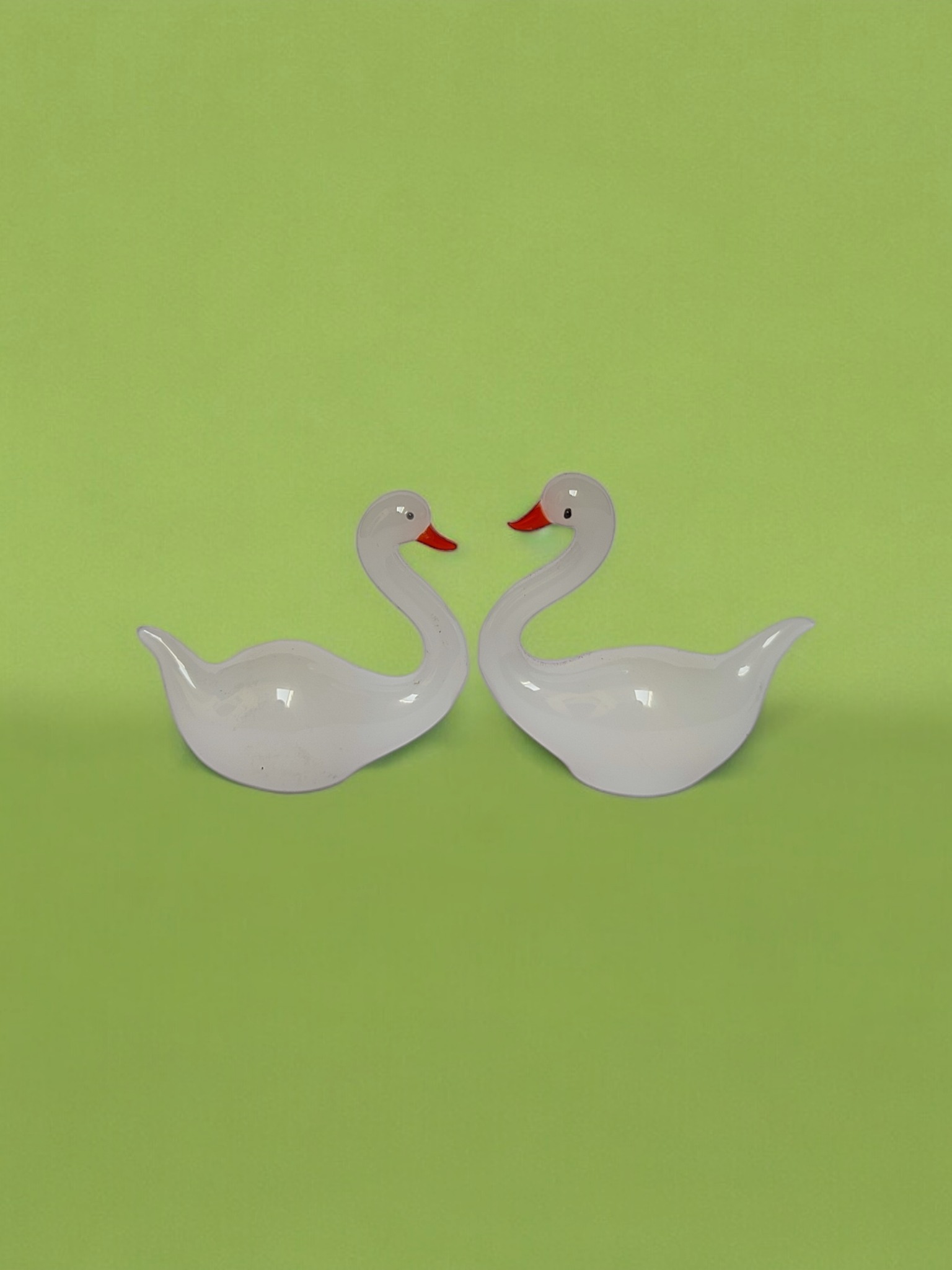 swan