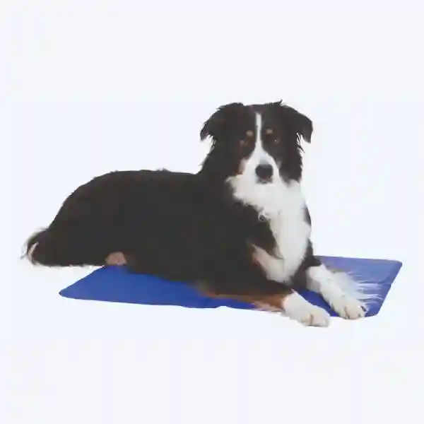 Trixie Cooling Mat - Blue