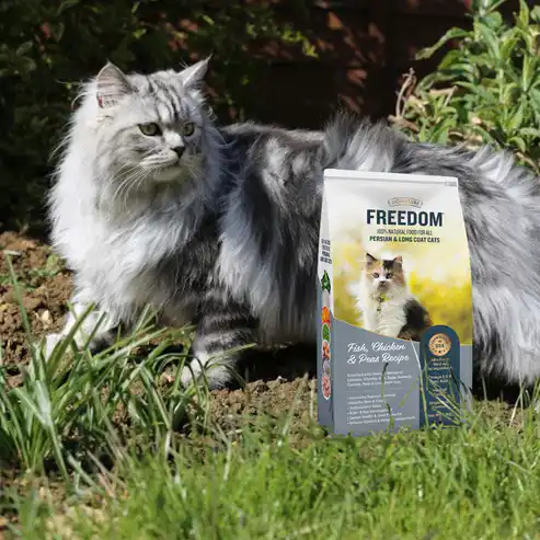 Freedom All Persian & Long Coat Cats Dry Food 1.2 kg