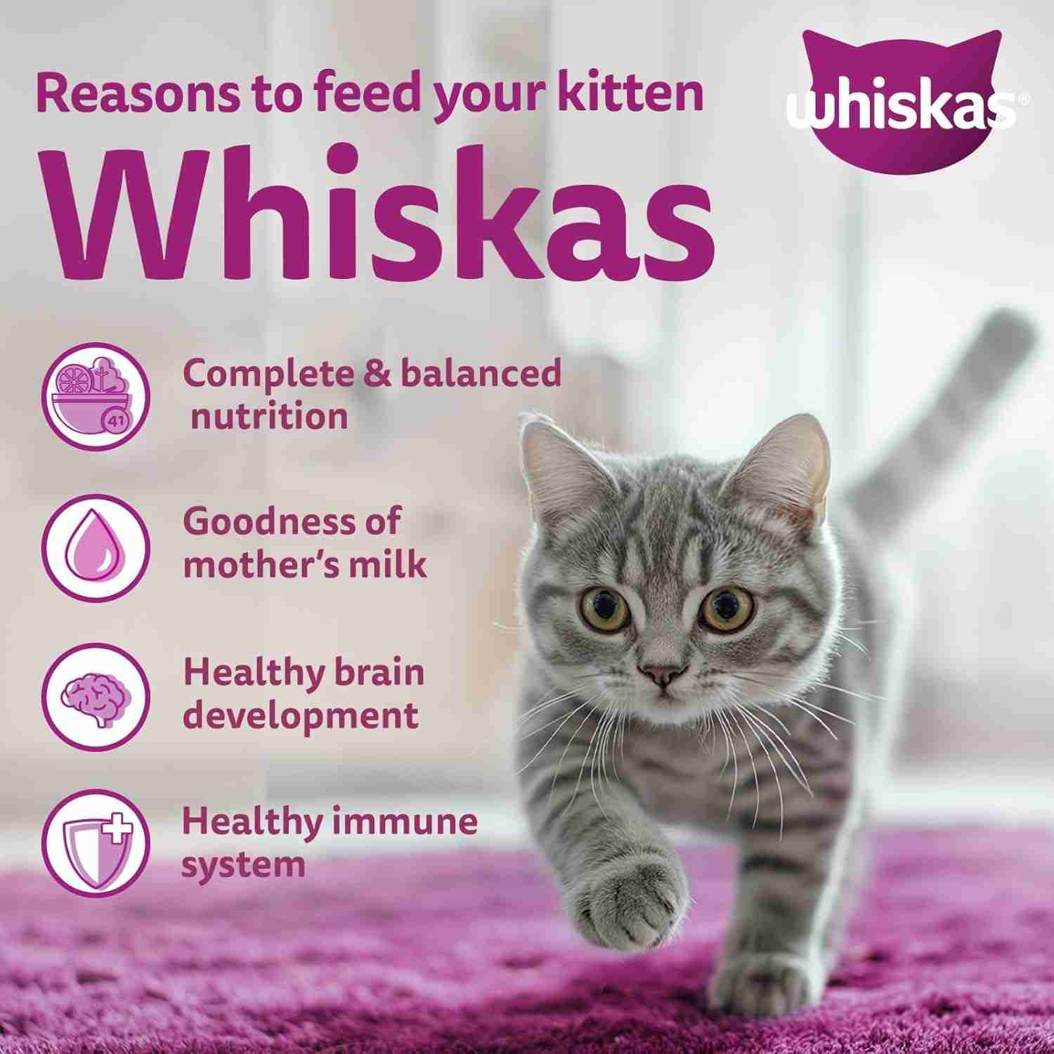 Whiskas Mackerel Junior Cat Dry Food