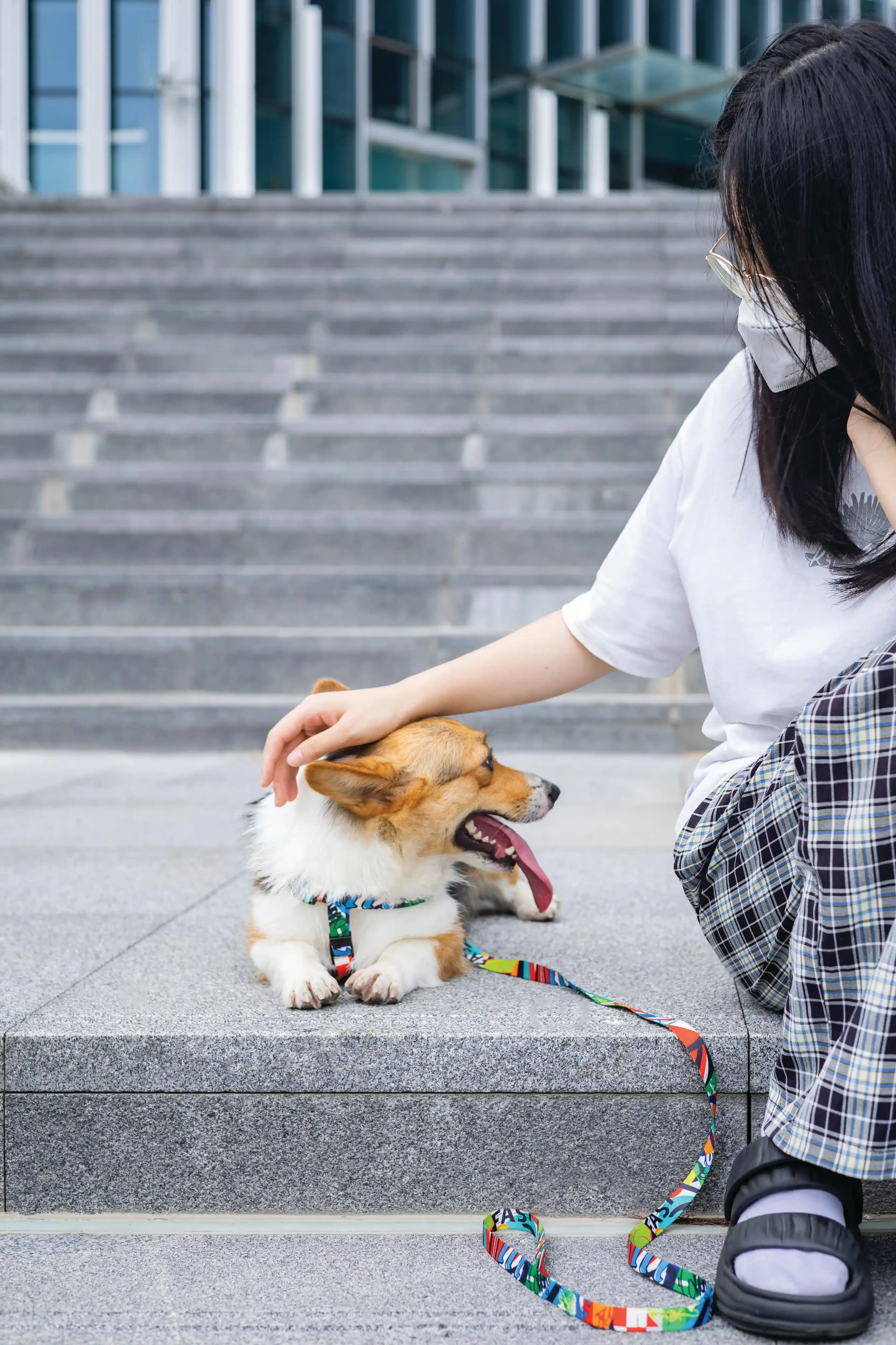 M-Pets Urban Style Freestyle Leash for Dogs