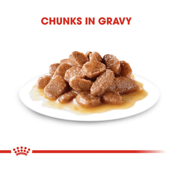 Royal Canin Urinary Care Gravy Cat Wet Food, 85g