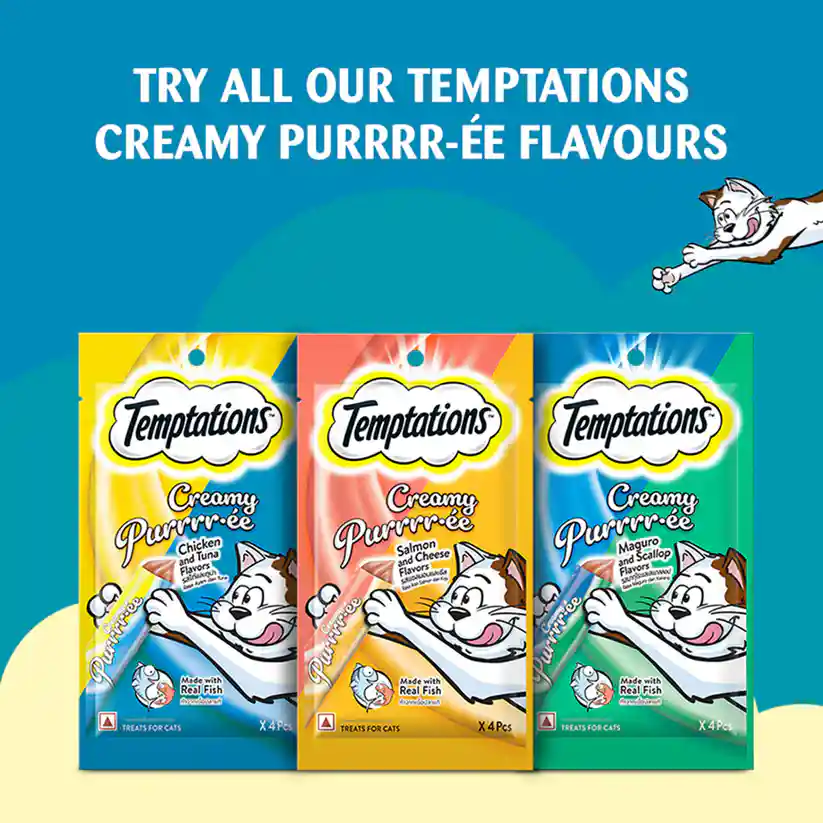 Temptations Creamy Cat Treat, Salmon & Cheese Flavour – 48 g (4 pieces)