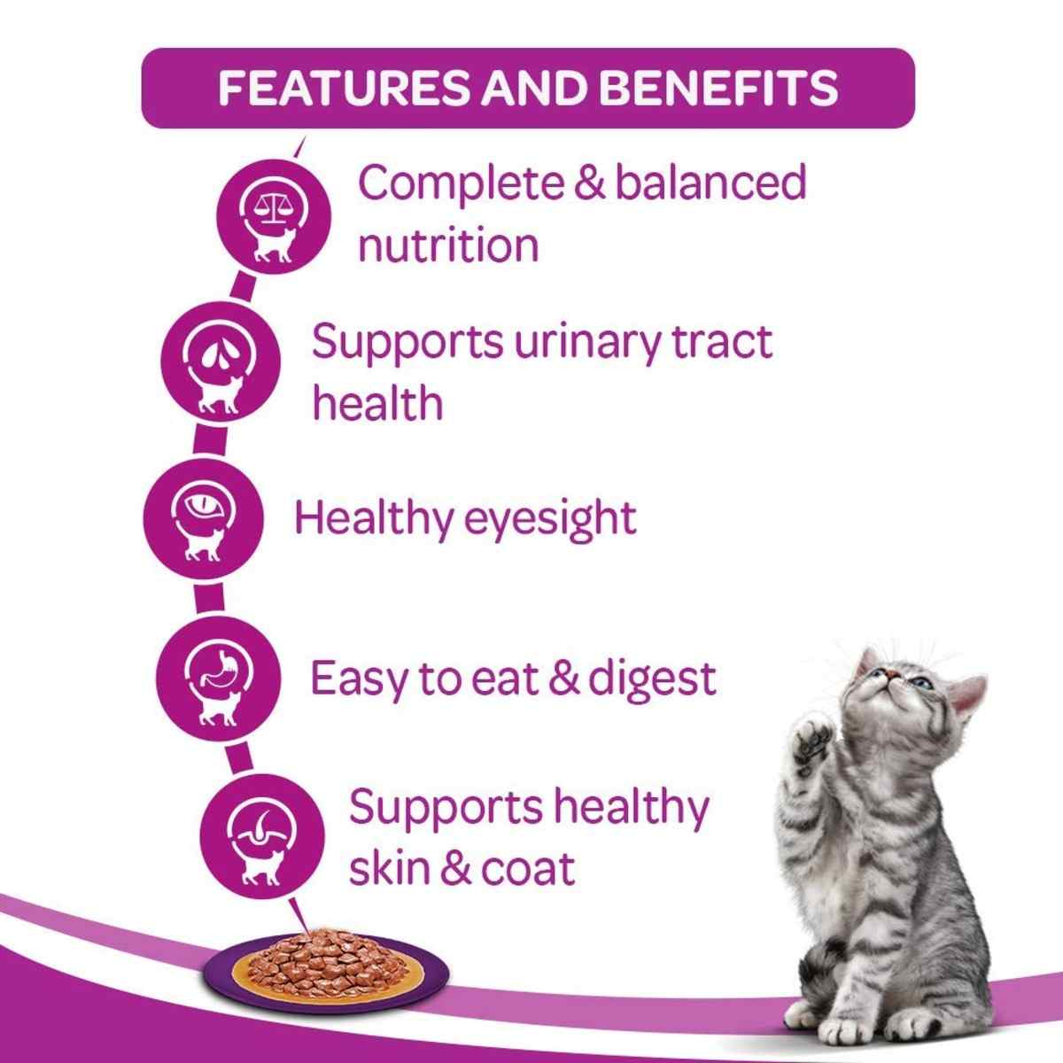 Whiskas Salmon in Gravy Adult Wet Cat Food (+1 year), 80g