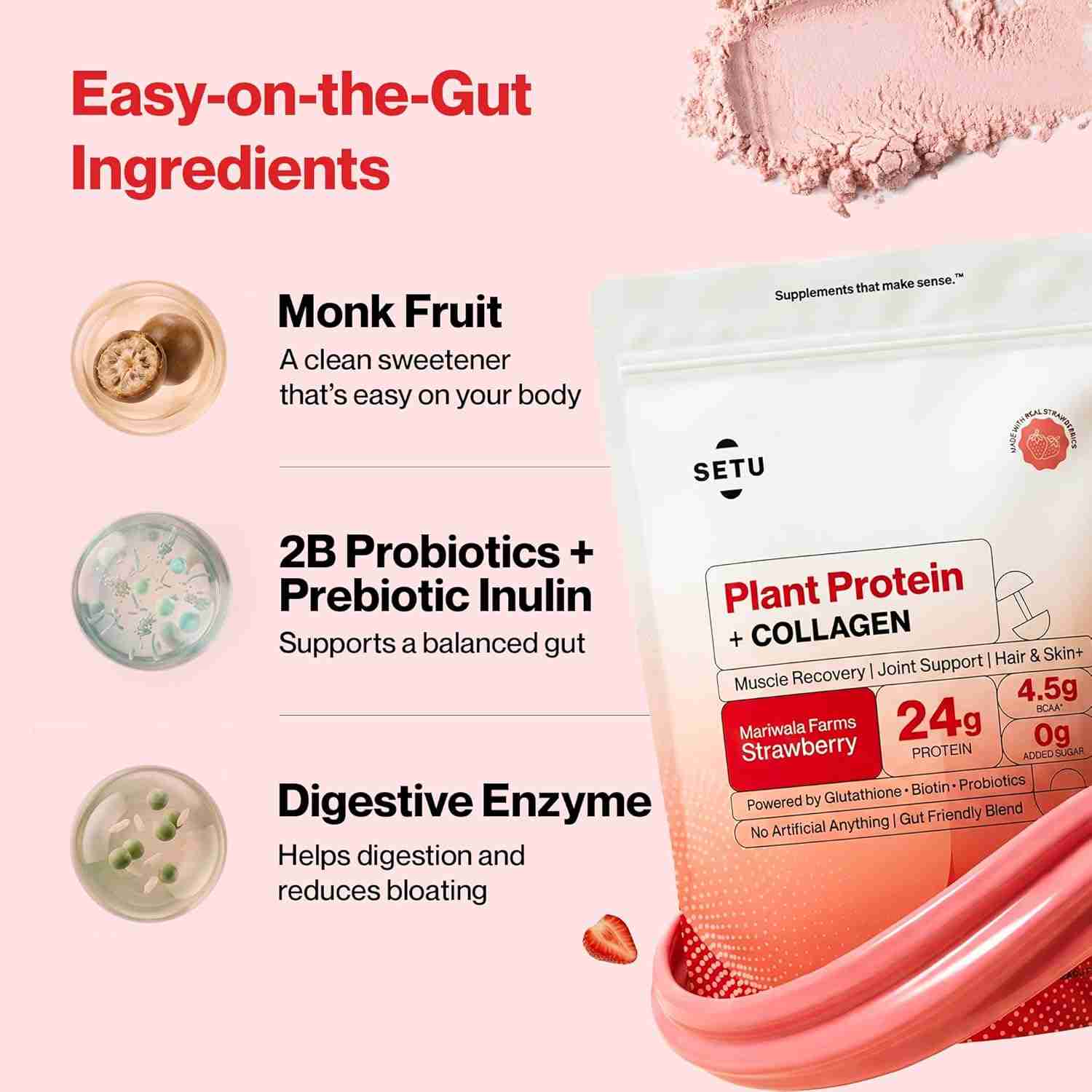 Setu Plant Protein + Veg Collagen | 24g Protein | Mariwala Farms Strawberry (6 Single Serve Sachets)