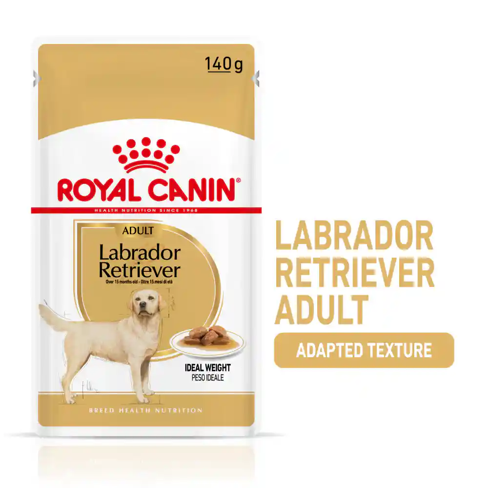 Royal Canin Chunks In Gravy Labrador Retriever Adult Wet Dog Food, 140g