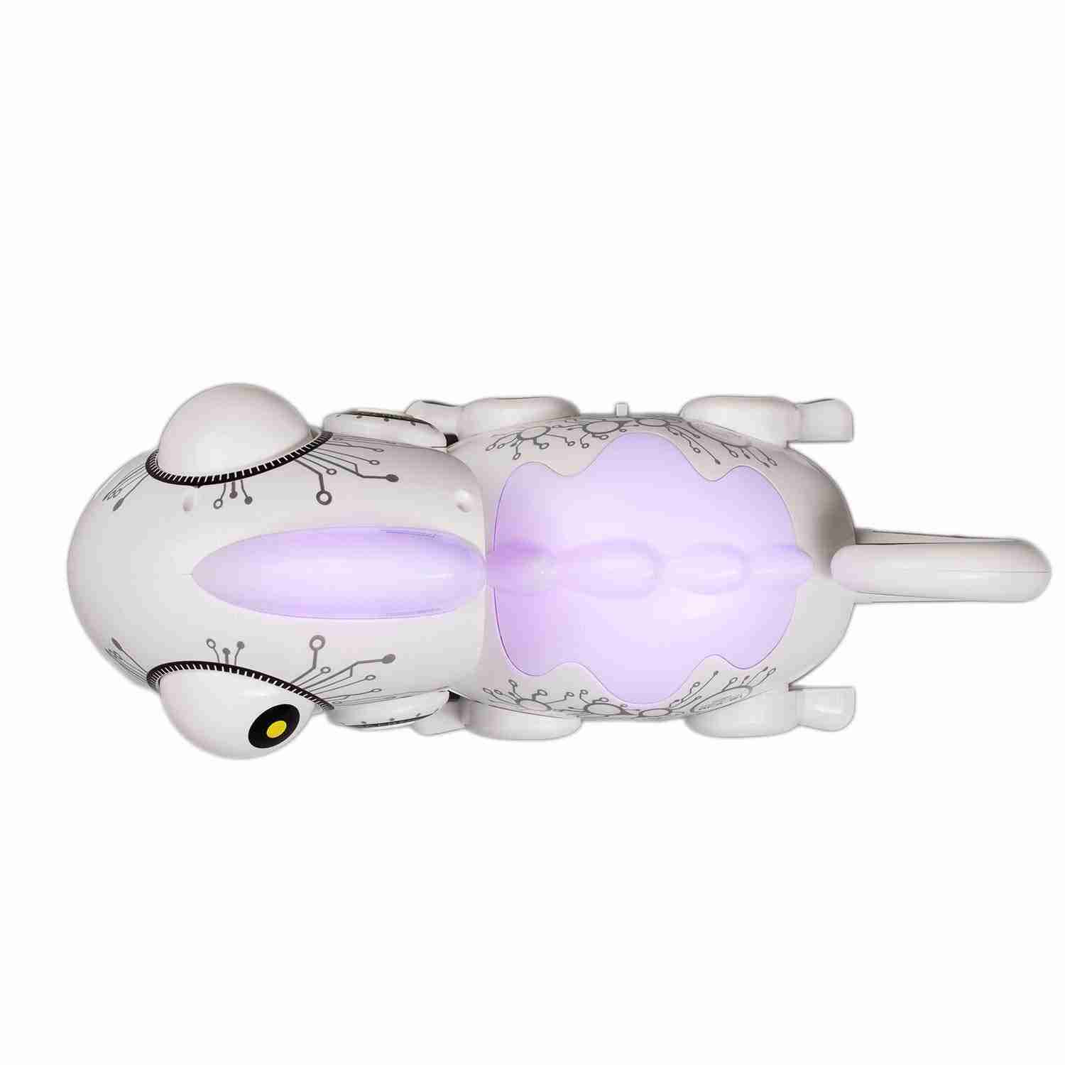 https://cdn.fynd.com/v2/falling-surf-7c8bb8/fyprod/wrkr/products/pictures/item/free/original/silverlit/88538/4/TWghOG4wVF-893943_5.jpg