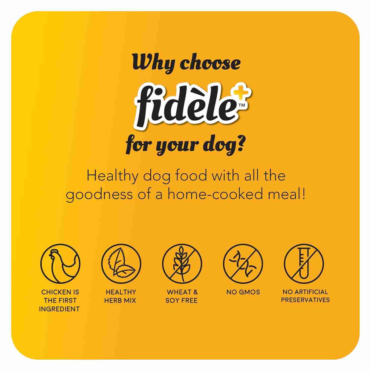 Fidele Plus Small & Medium Breed Puppies Dry Dog Food