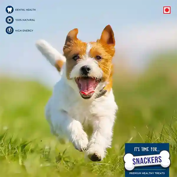 Snackers Chicken Chip Dog Treats - 70g