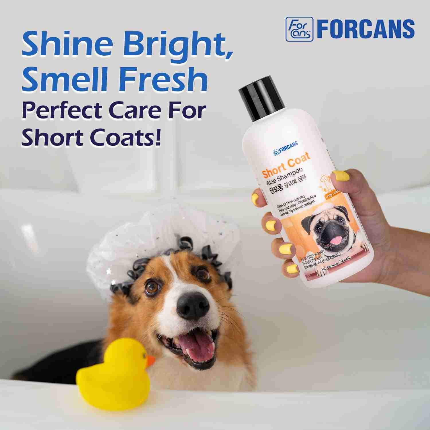 Forcans Short Coat Aloe Shampoo for Dogs