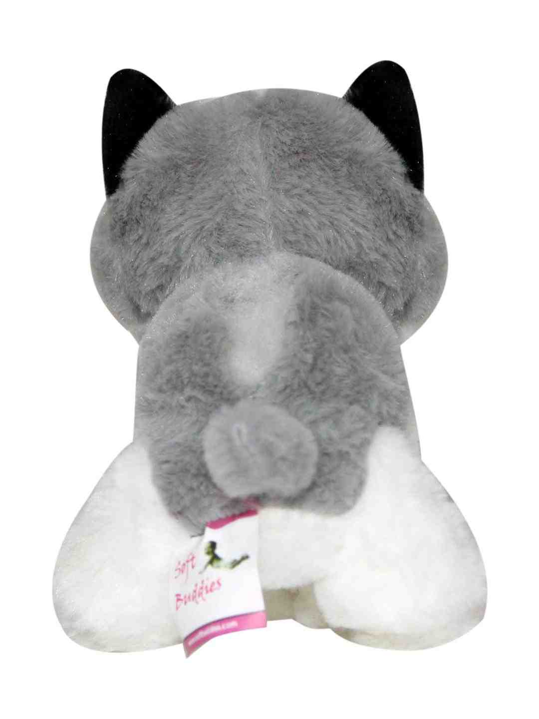 Softbuddies Big Eye Husky Dog 30 Cm Quirky Soft Toys for Kids age 3Y+ 30 Cm
