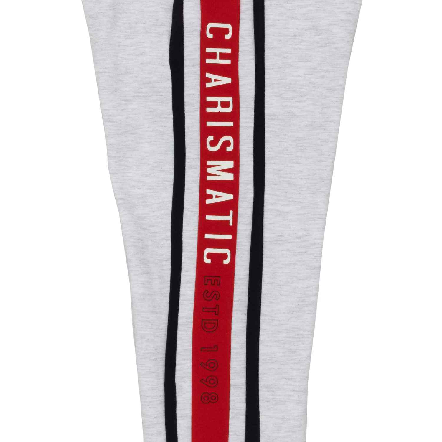 Boys Cut & Sew Regular Fit Trackpant