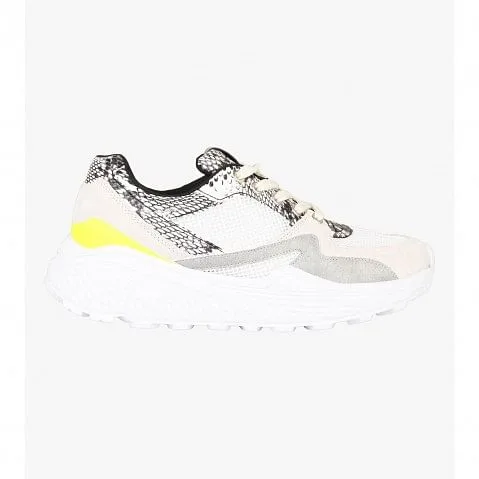 Savoy Multi Sneakers