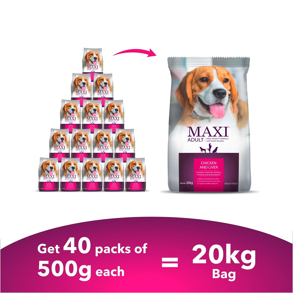 Drools Maxi Adult Dry Dog Food - 20 Kg