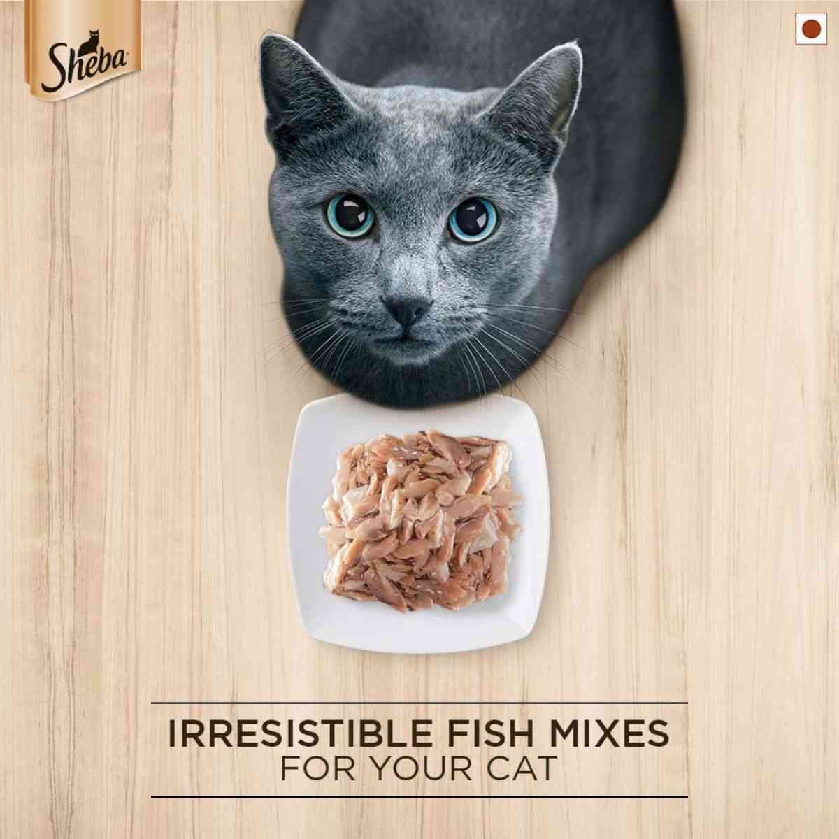Sheba Premium Fish Mix Maguro & Bream Wet Cat Food - 35 g