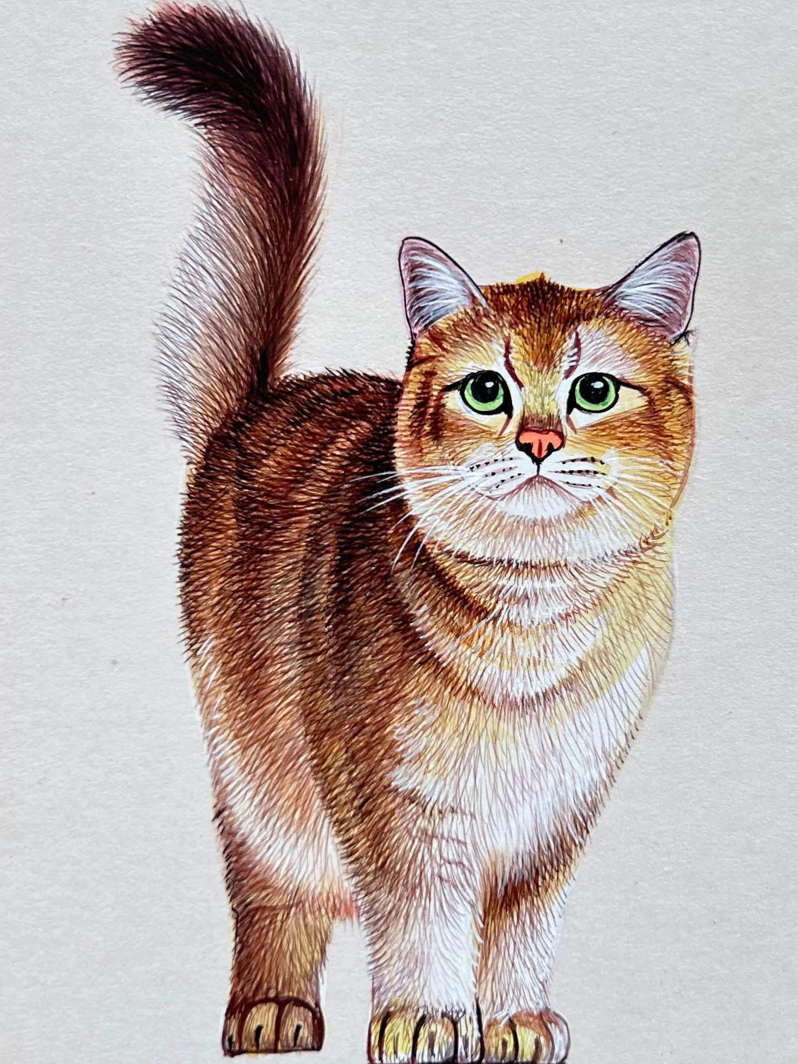 Cat miniature painting on Antique card