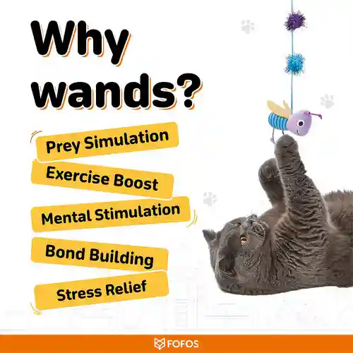 BarkButler Fofos Cat Wand Toy Replaceable Lets Fly Together