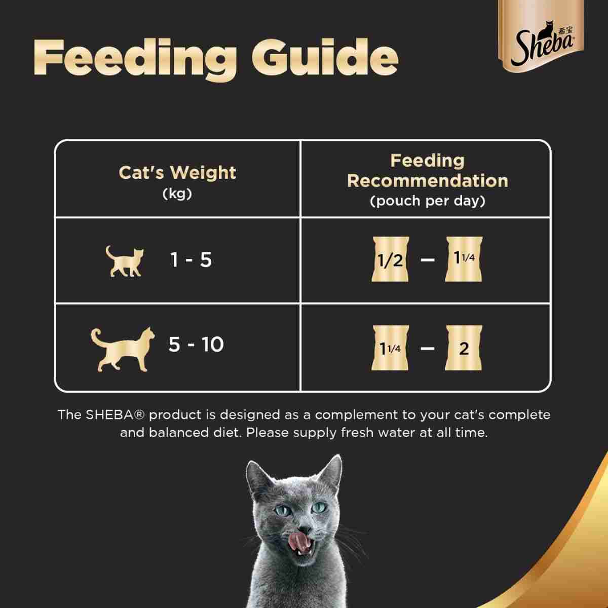 Sheba Premium Fish with Dry Bonito Flake Wet Cat Food - 35 gm