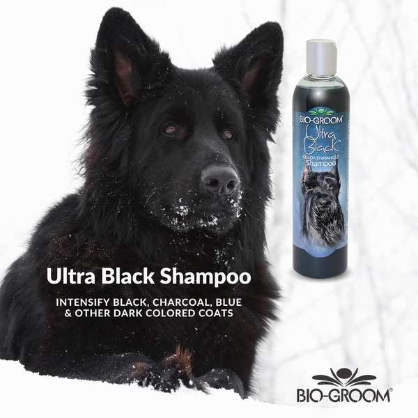 Bio-Groom Ultra Black Color Enhancer Shampoo